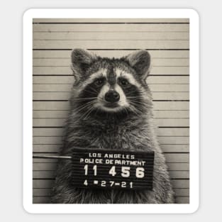 Raccoon Mugshot by © Buck Tee Originals Sticker